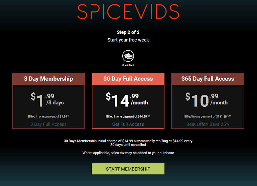 cost of Spice Vids subscription